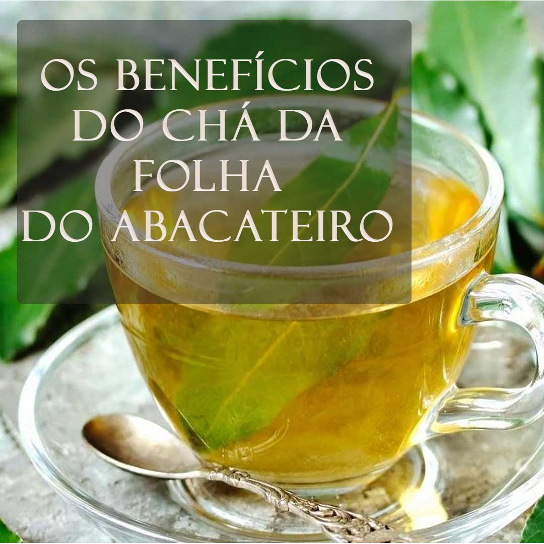 3 benefícios das folhas funcionais do abacate